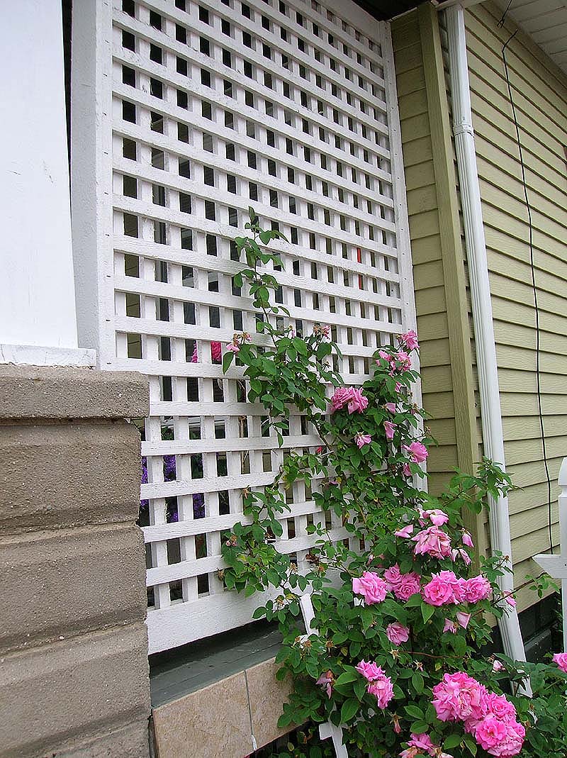 wood square lattice porch rose trellis by Elyria Fence